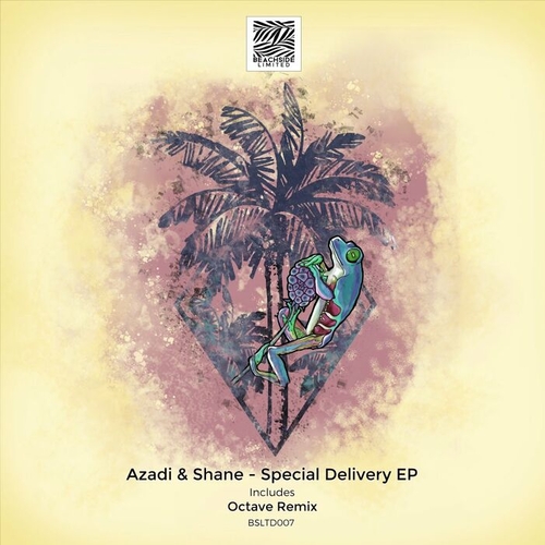 AZADI, Shane - Special Delivery EP [BSLTD007]